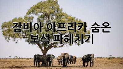 잠비아🇿🇲 아프리카 숨은 보석💎 파헤치기!