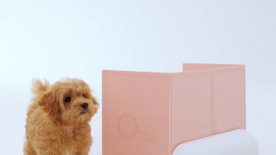 🐶 우리 댕댕이 깔끔 배변! 수컷용 배변판 솔직 후기 & 꿀팁 대방출! 🎉